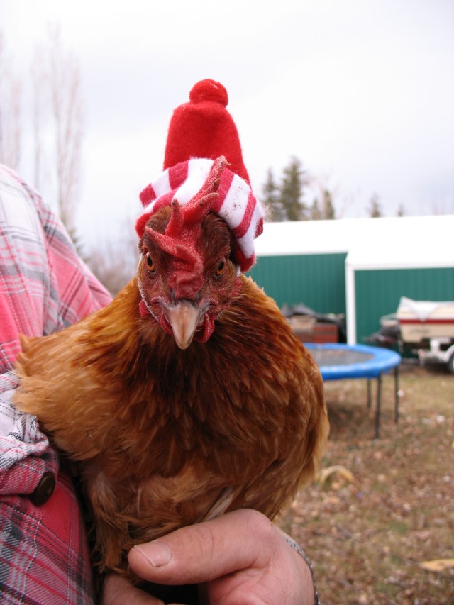 Merry Christmas from The Renegade Seamstress