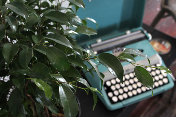 studio-sneak-peek-11