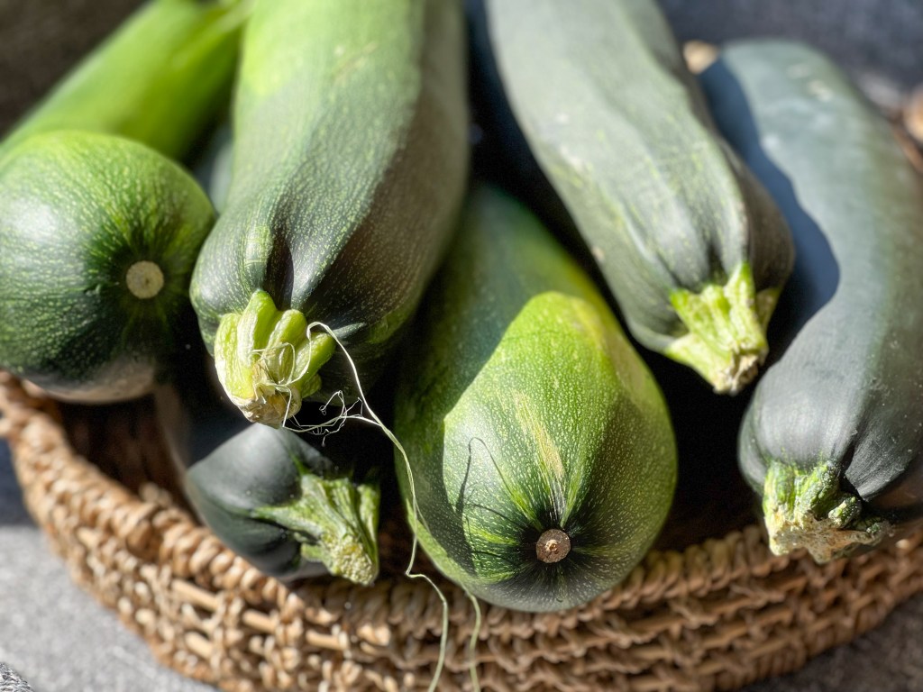 Basket of large zucchinis